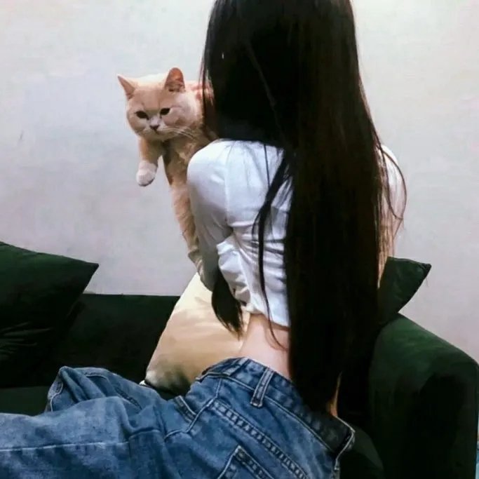 罗小黑战记2